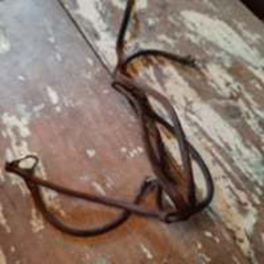 Vintage horse halter?